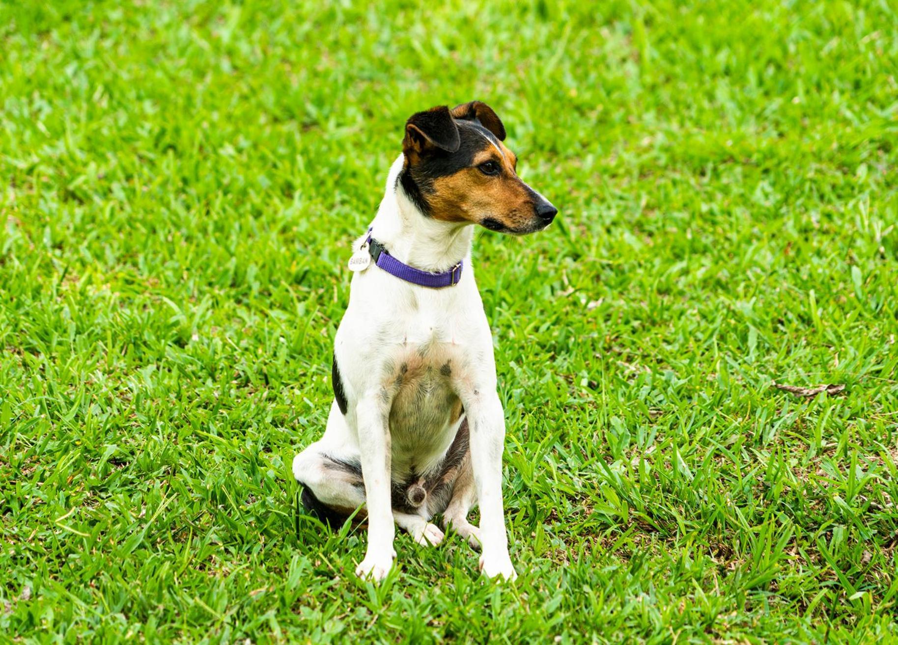 Aldea Sabatinga Manizales Exterior foto